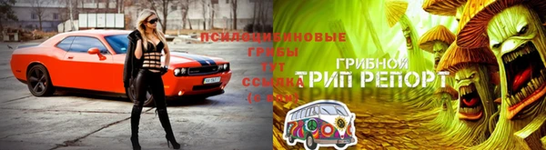 jwh Алексин